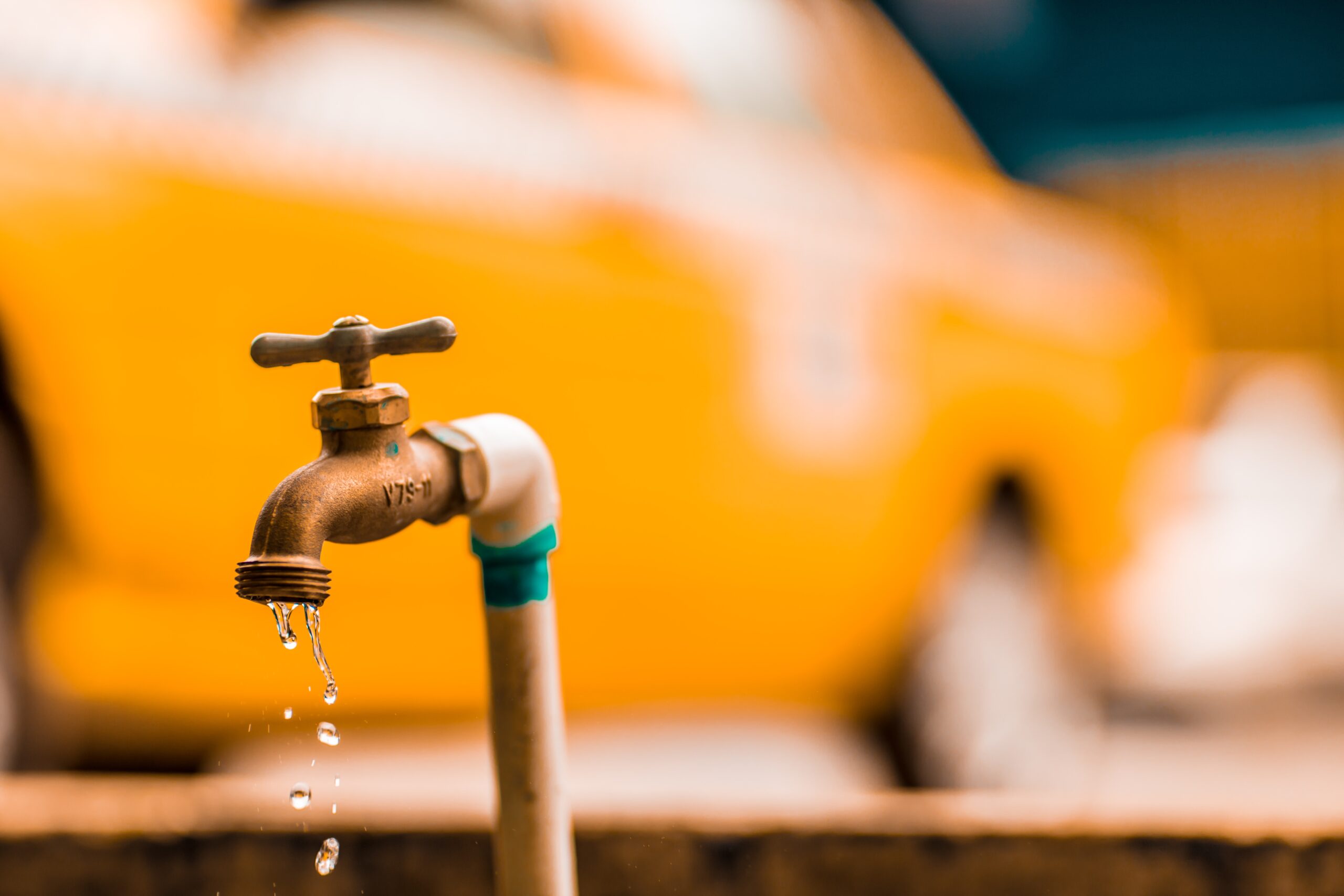 So Here’s the Thing About Leaky Gut … It’s Worth Paying Attention To!