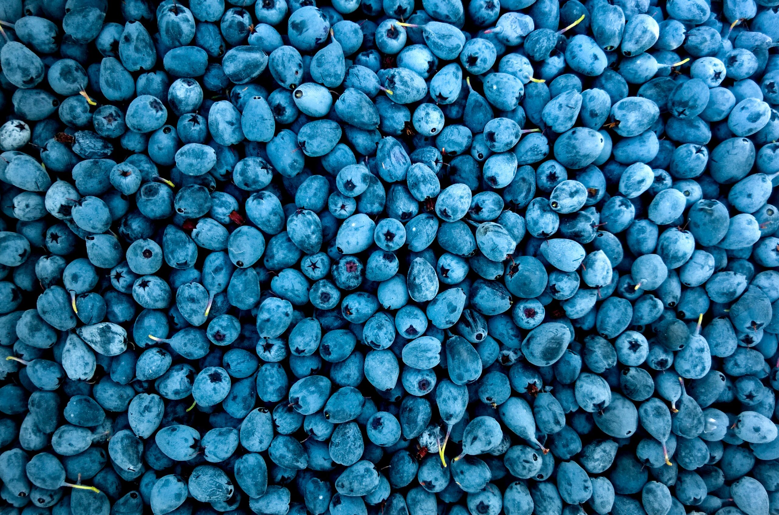 So Here’s the Thing About Blueberries … They’re Great!!!